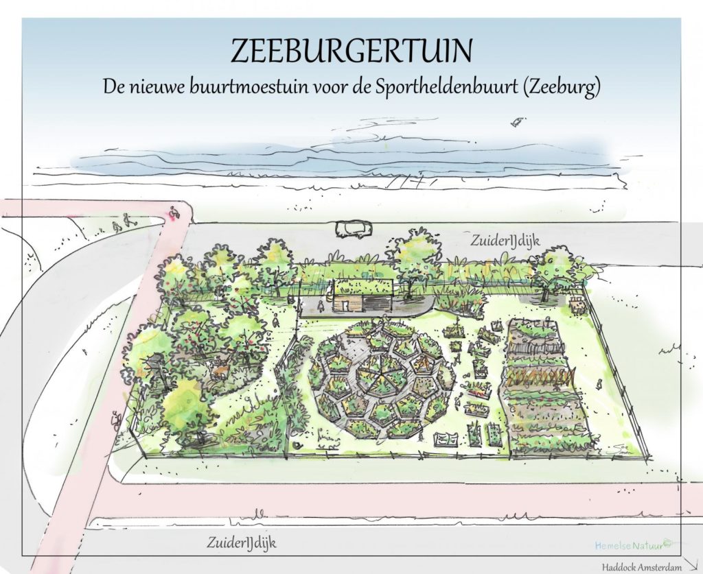 zeeburgertuin-gezonde-stad-tuinaarde