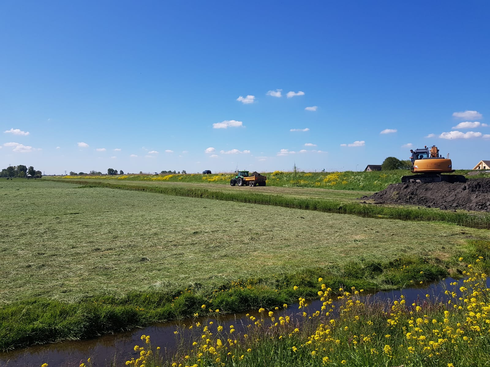 teelaarde grondverbetering